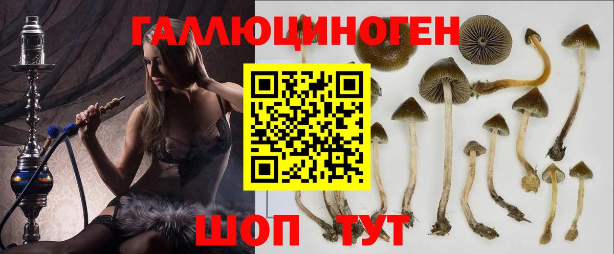 Киселёвск  Галлюциногенные грибы мухоморы  Вход с VPN 
